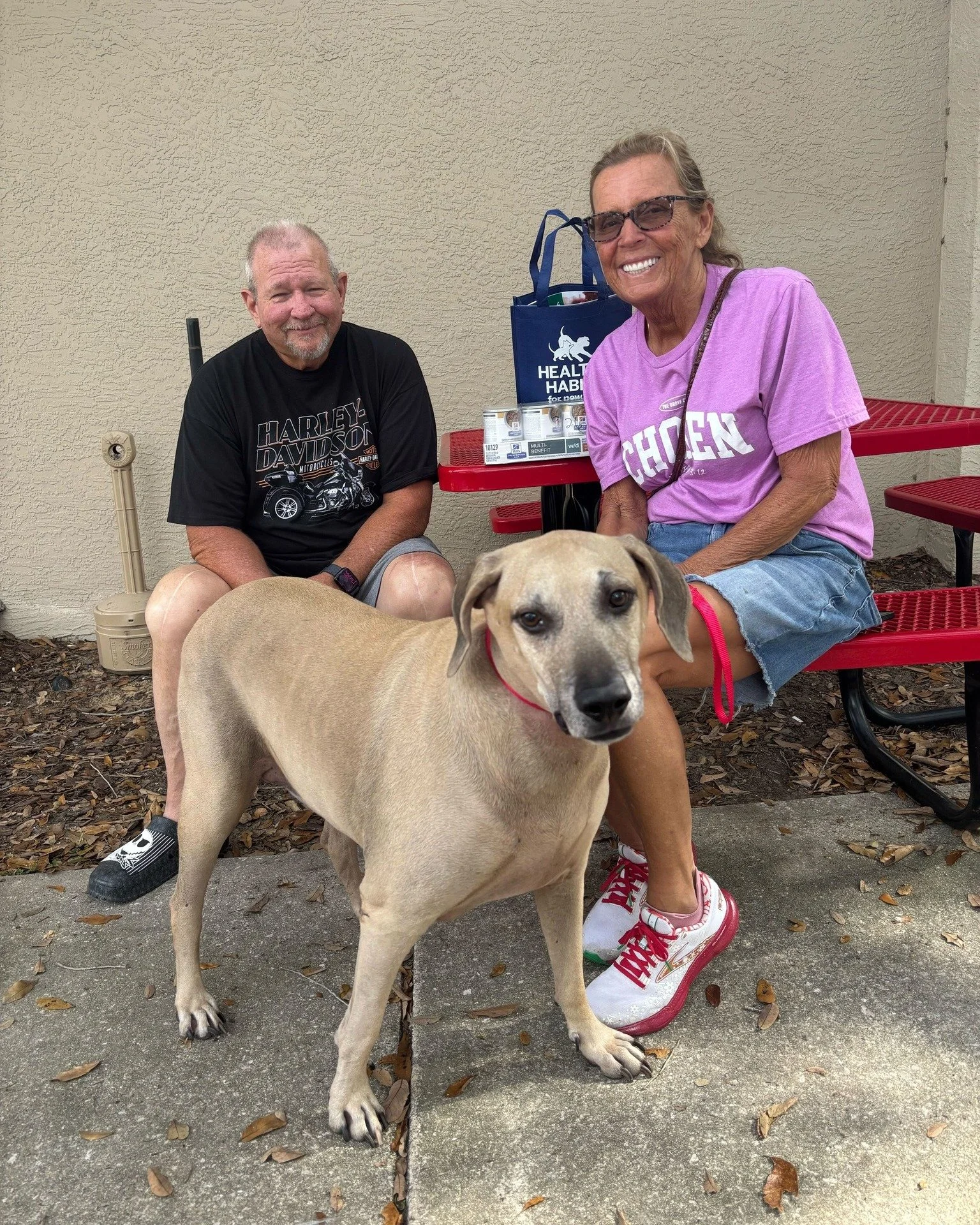 Thank you for making our The More The Merrier Holiday Festival truly merry and bright! 🎄✨

We&rsquo;re still smiling from the incredible turnout this past weekend and even happier to share the best news of all:
🐶 6 dogs adopted
🐶 2 dogs placed in 