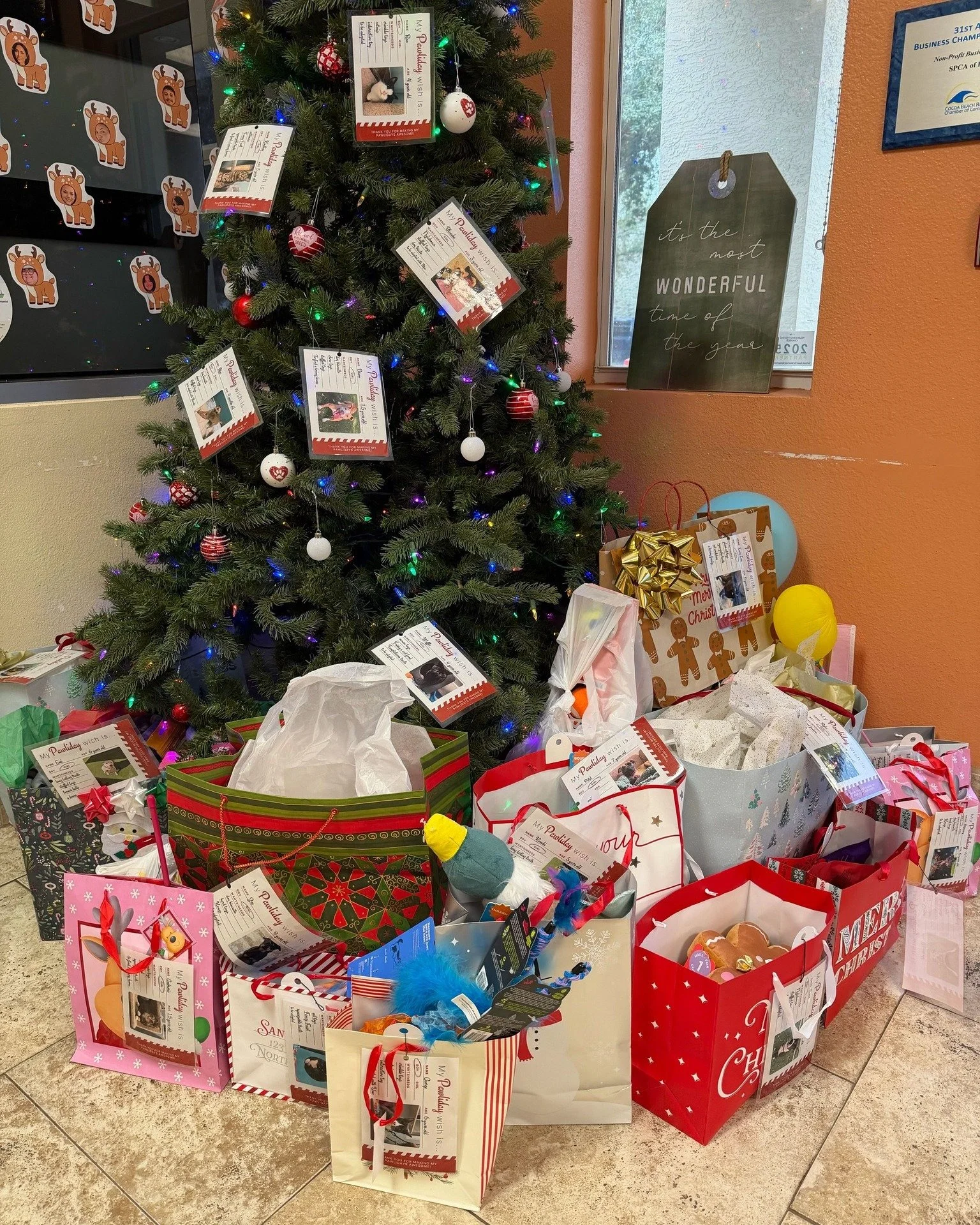 A huge thank you to everyone who has already picked an ornament from our Shelter Pet Angel Tree and dropped off their gifts! Your generosity is helping make the season brighter for cats and dogs waiting to be adopted.

We still have some tags availab