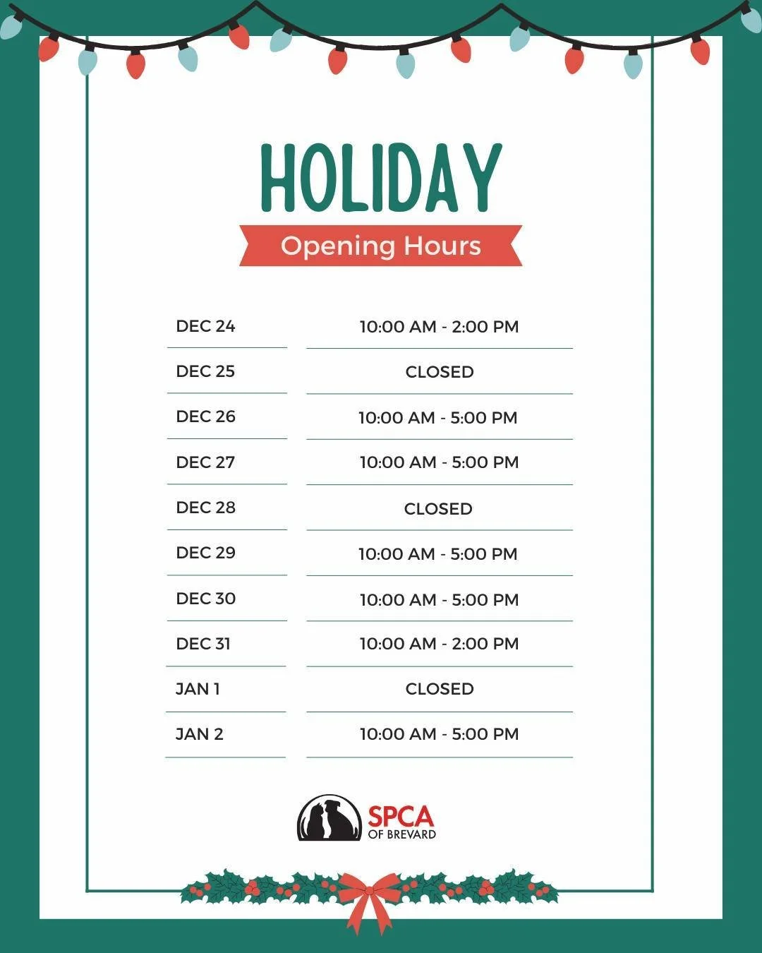 🎄 Holiday Hours at the SPCA 🎄

As we celebrate the season, our shelter will have special holiday hours. Please be sure to check our hours before visiting so you can plan accordingly.

Thank you for your continued support, we wish you a safe and hap