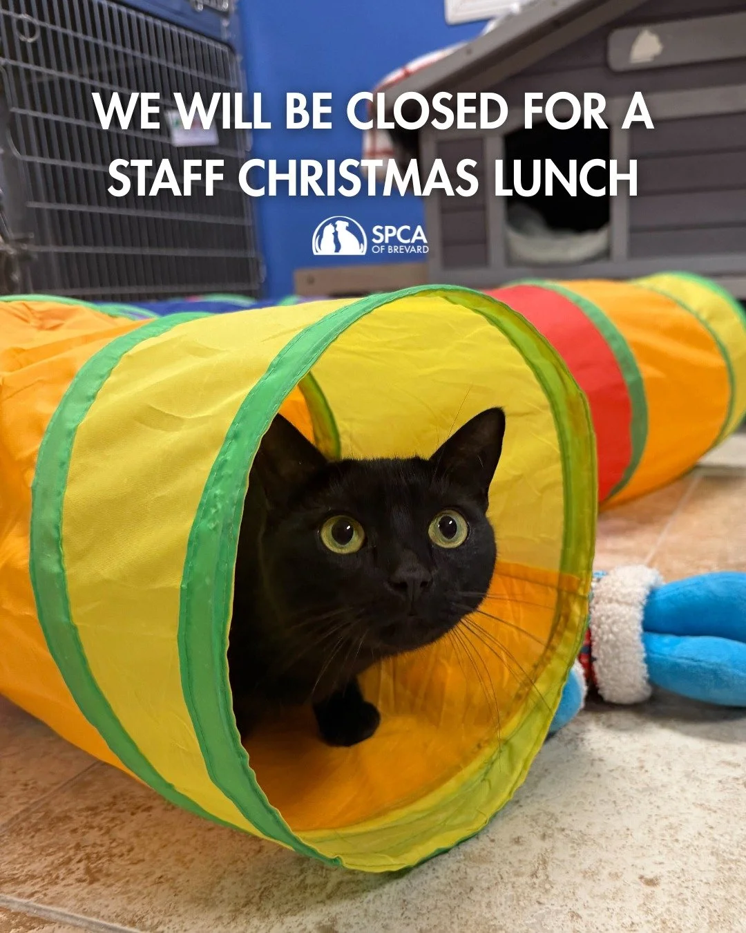 We will be closed on Thursday, December 18th from 12:00 PM &ndash; 2:00 PM while our staff enjoys a Christmas lunch together.

We&rsquo;ll be back open at 2:00 PM and ready to welcome you! Thank you for your understanding as we take a moment to celeb