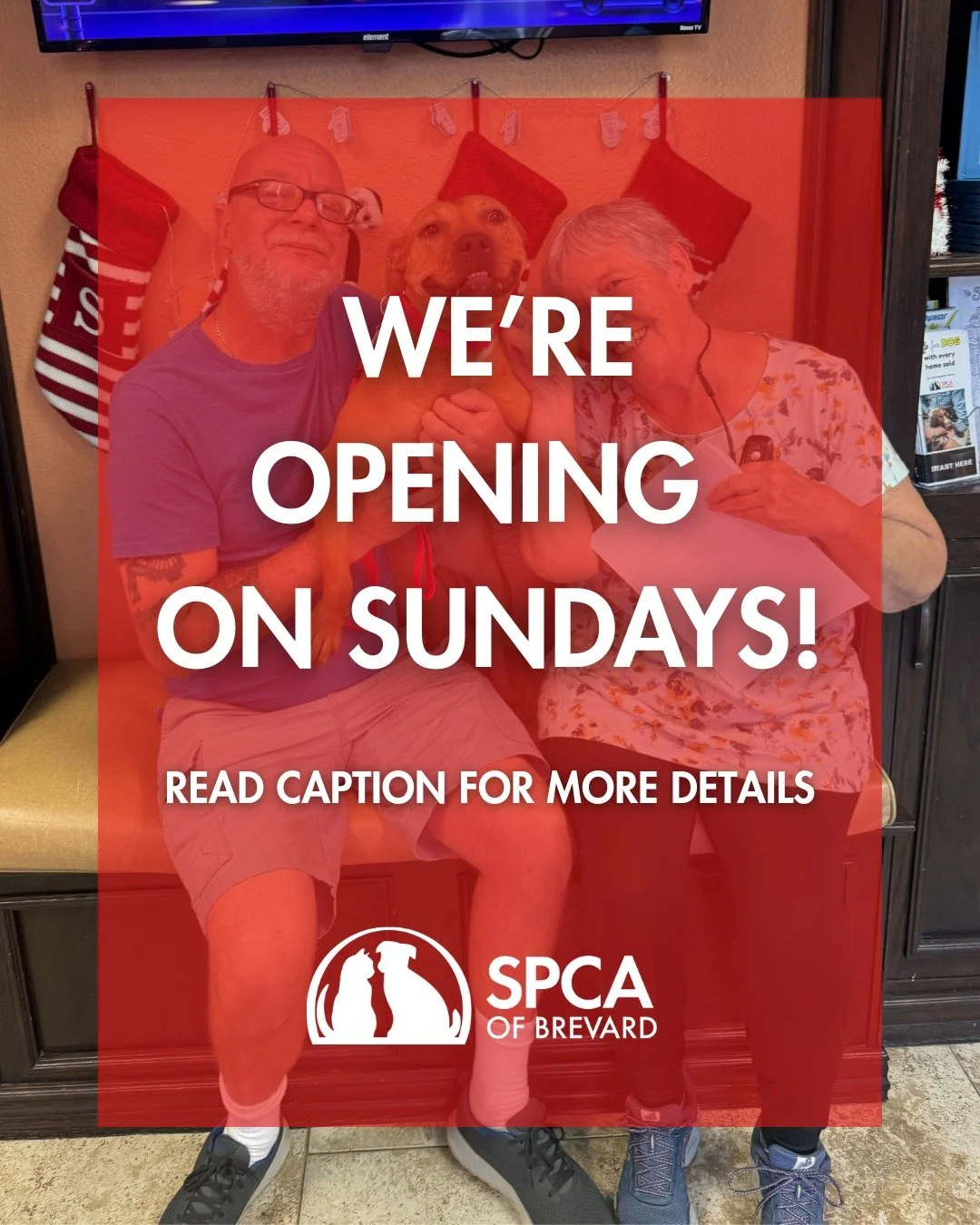 Big news for 2026! 🎉

We&rsquo;re excited to share that starting in 2026, we&rsquo;ll officially be open on Sundays from 10AM&ndash;2PM to give our community even more opportunities to meet and adopt available pets. Recent data from @bestfriendsanim