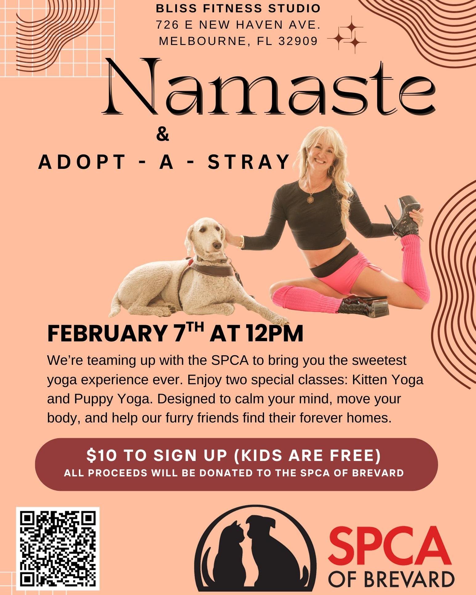 Flow, stretch, and snuggle for a great cause next month! Join @blissfitnessstudio  on February 7th at 12PM for a special puppy &amp; kitten yoga class at their studio in downtown Melbourne (726 E New Haven Ave, Melbourne, FL 32901).

✨ $10 per class
