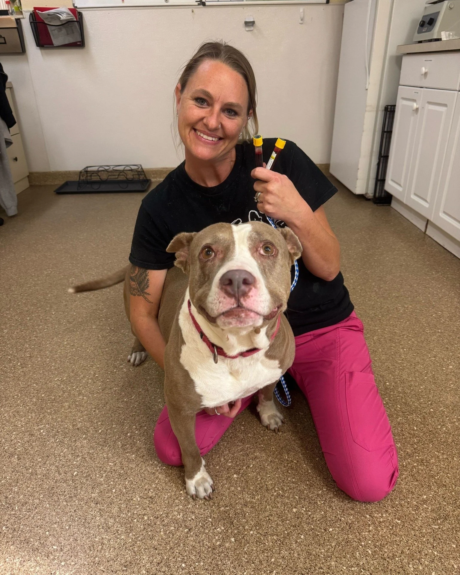Our longest dog resident, Charm, proved that heroes come in all shapes and sizes ❤️

Charm recently donated blood to help cats in our care, bravely stepping up to support her fellow shelter residents. She handled it like a champ and was rewarded with