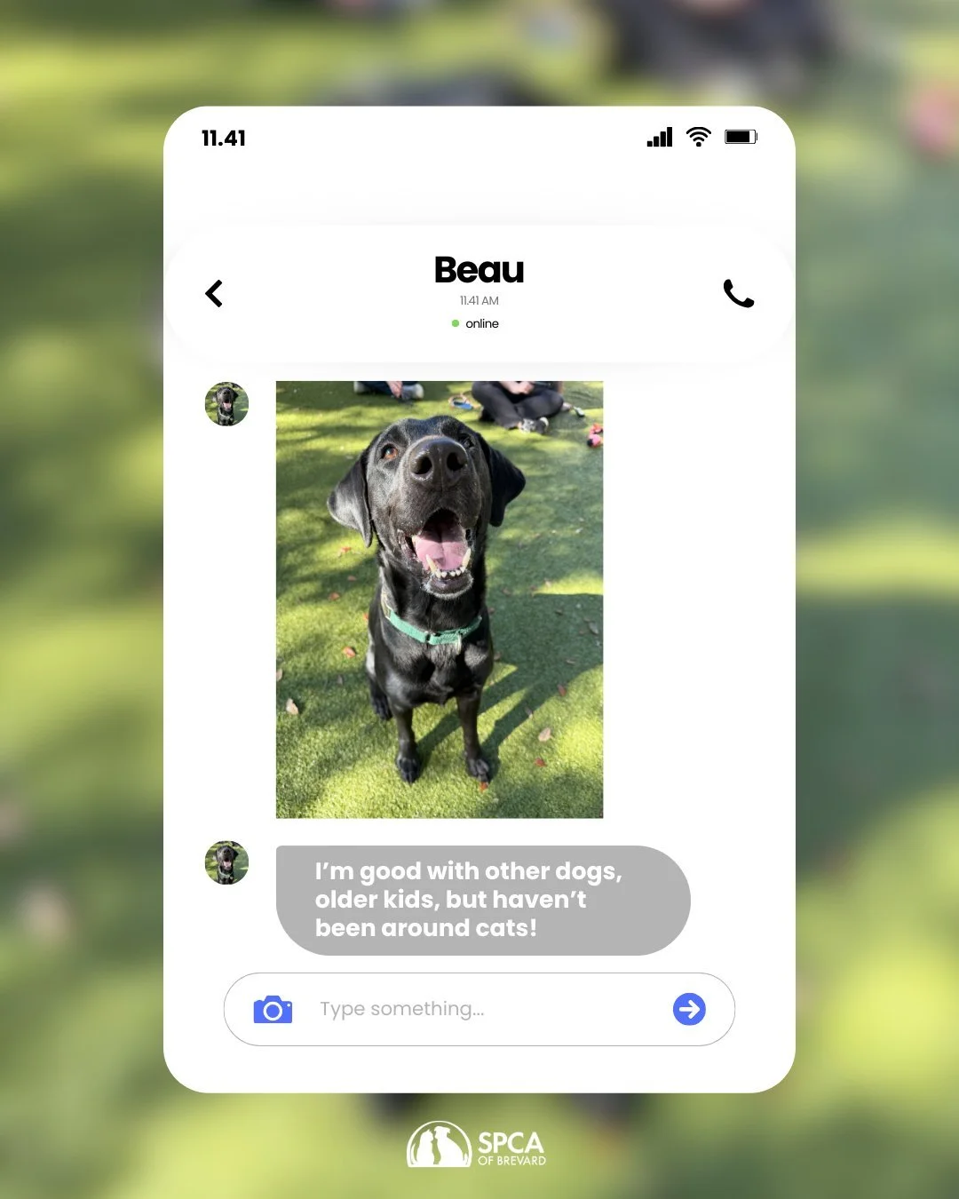 If dogs had a group chat, these dogs would be the most active members by sending nonstop invites to play, hyping up everyone&rsquo;s zoomies, and welcoming every new pup with a tail wag. They&rsquo;re friendly, playful, and always down to make new ca