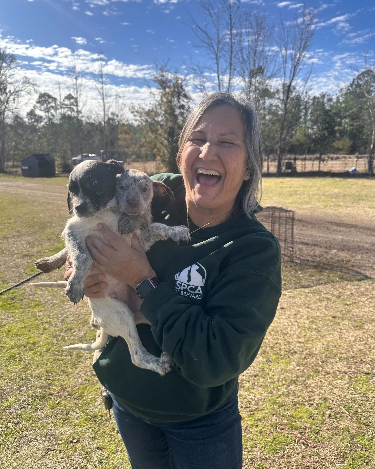 Yesterday, we partnered with Hamilton County Animal Services in North Florida to help 14 dogs in need, including adult dogs and puppies. This rural shelter with limited resources reached out for help as they were at capacity. Their kennels are also o