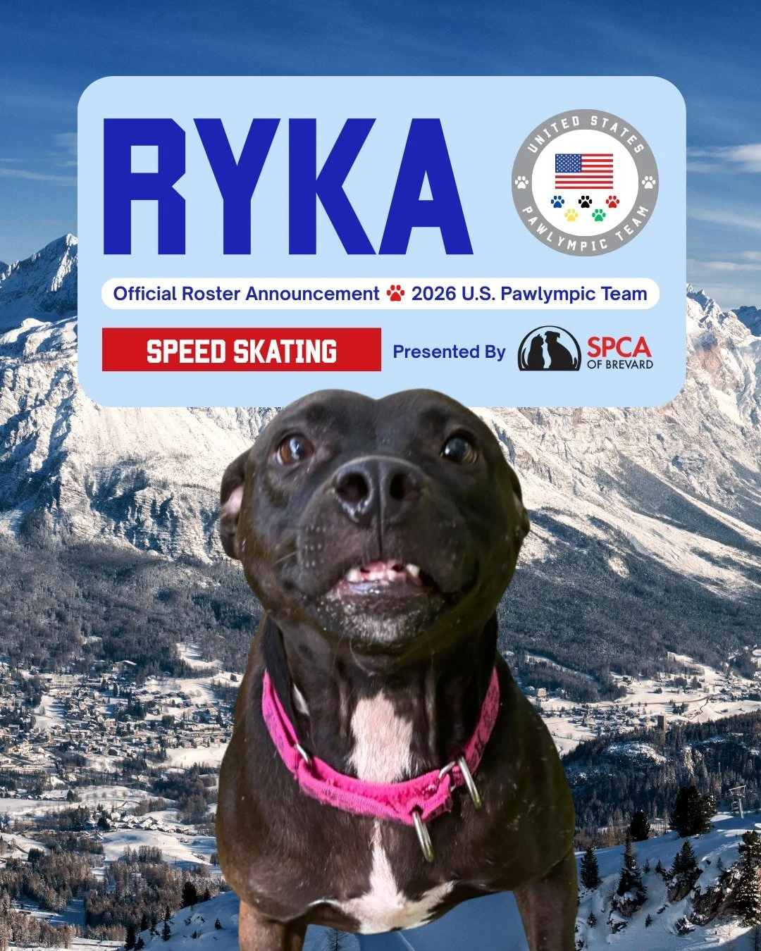 Meet our official Dog Team USA for the 2026 Winter Pawlympics! ❄️🇺🇸

These all-star athletes competing for the ultimate prize of a gold medal (a loving home!):

⛸️ Ryka is racing to the finish in Speed Skating
🏒 Timon &amp; Pumba are bringing doub