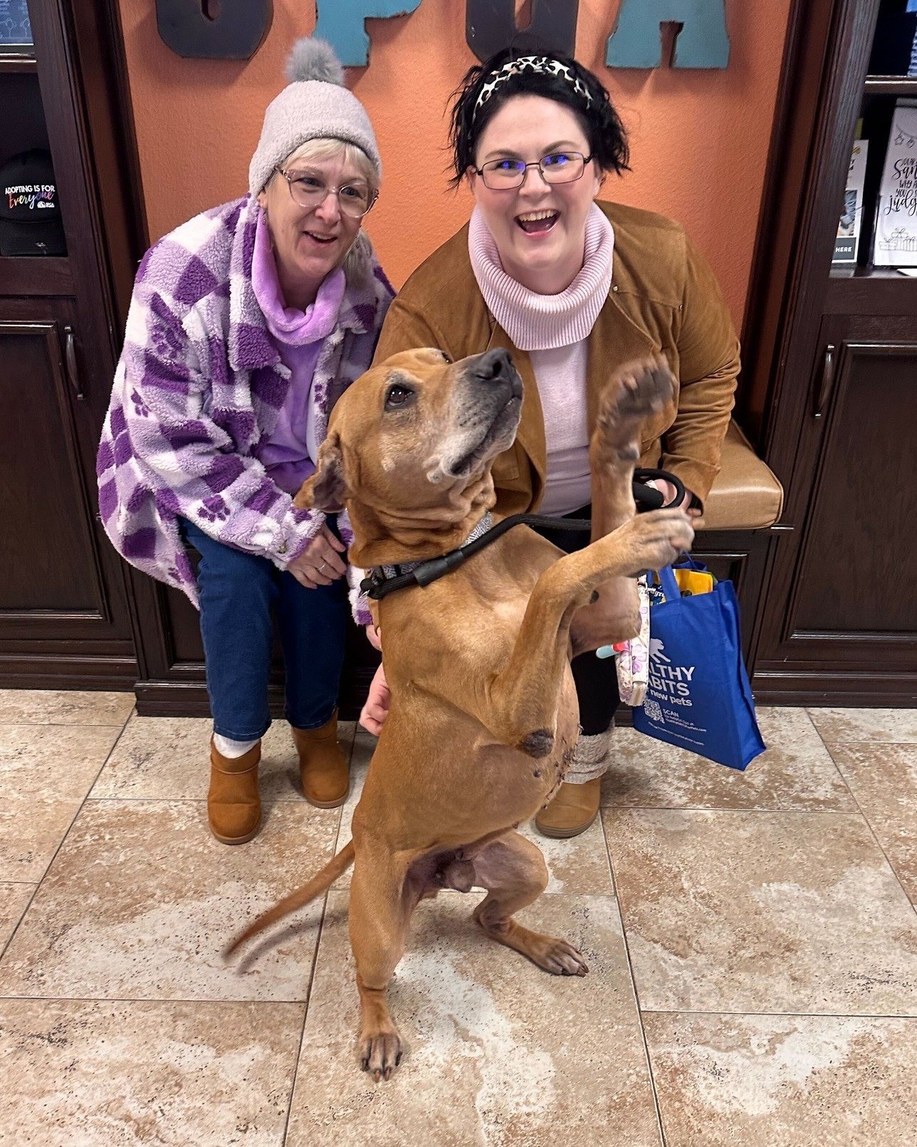 What an incredible start to 2026! 🎉😻

126 pets found homes in January, and we're already at 34 adoptions this February. But we still have many amazing animals waiting to find homes of their own! Stop by today and meet your new best friend.

📍SPCA 