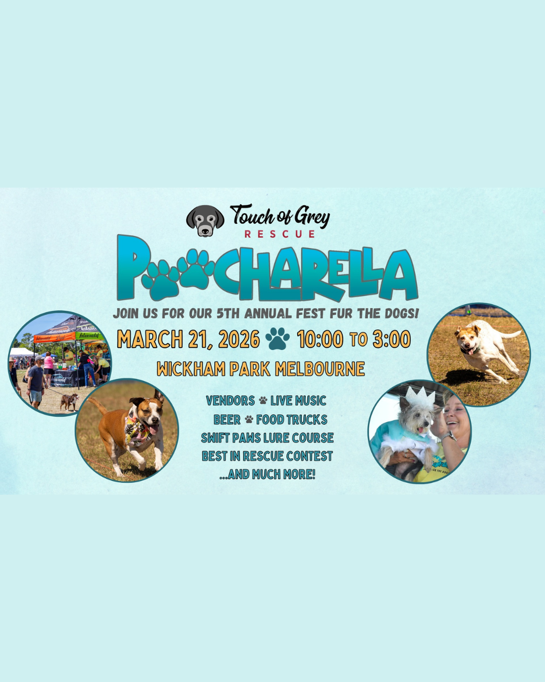 Poocharella benefiting Touch of Grey Rescue