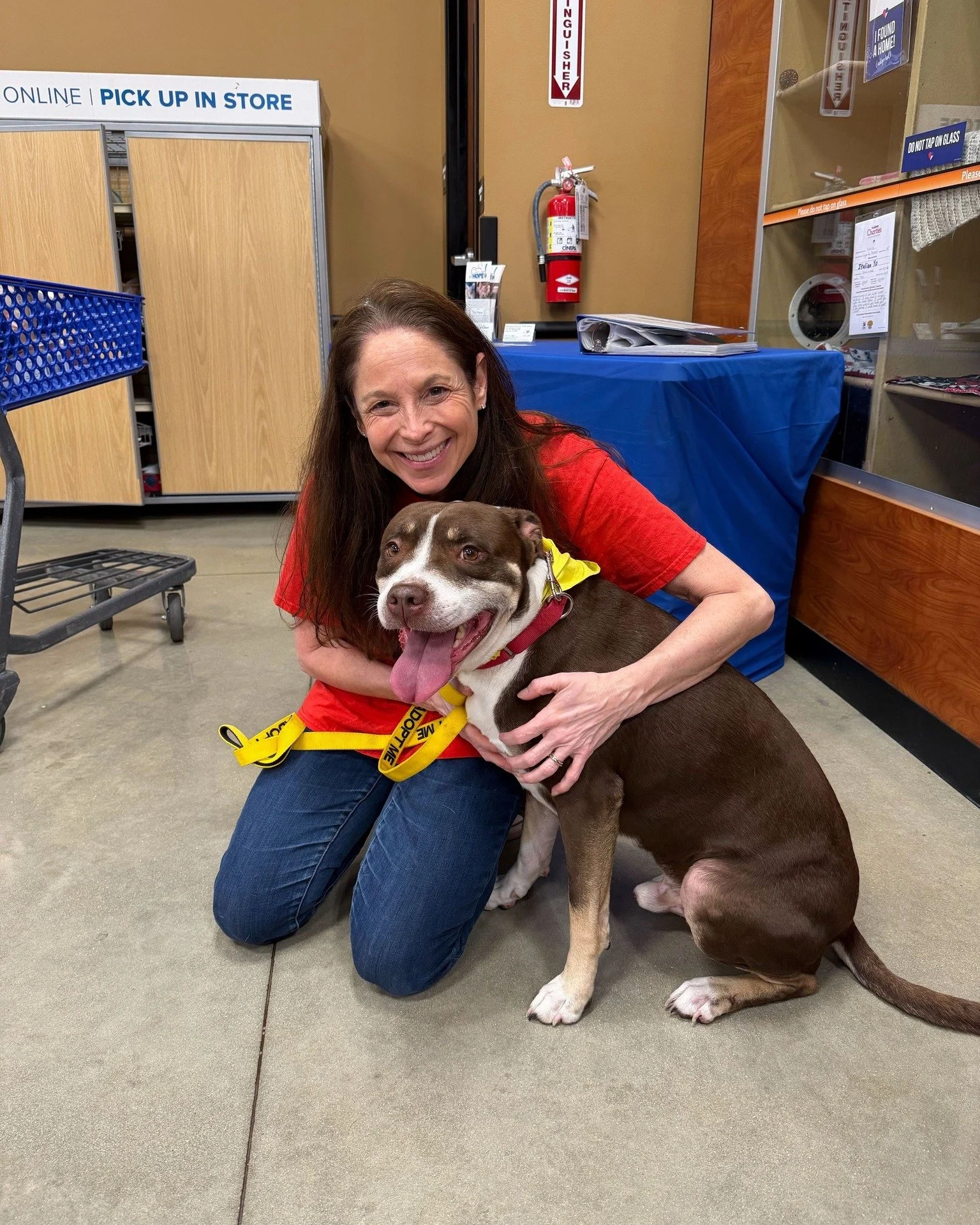 Pumba and Malcom are at PetSmart in Viera until 1PM today! Come stop by to shop and meet these two good boys. ❤

If you're not able to stop by, our adoption center in Titusville is open until 5PM. 

📍Viera PetSmart - 7161 Lake Andrew Dr A, Melbourne