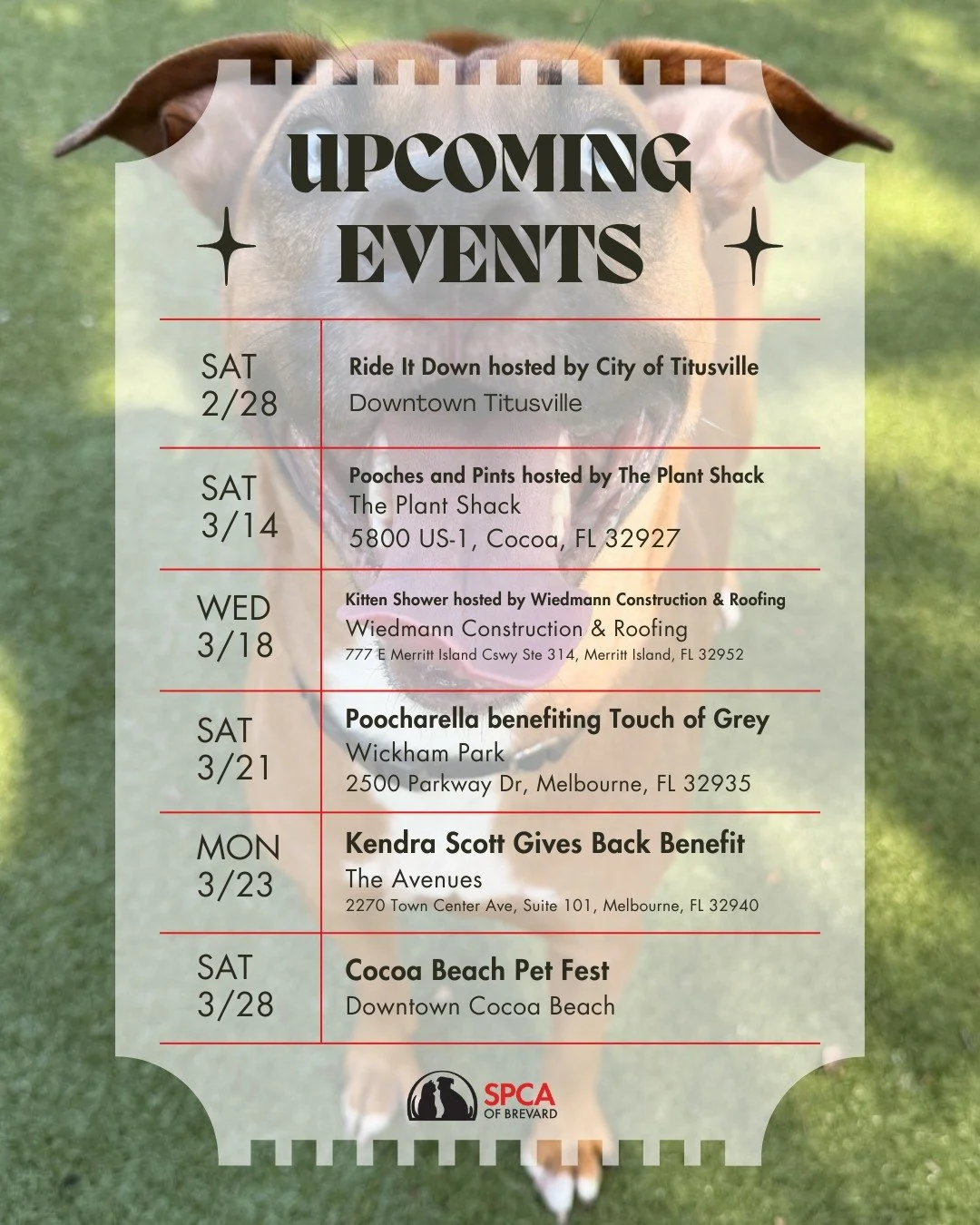 We have a PACKED month of events coming up and we'd love to see you there! Come meet our adoptable pets, support our mission, and have some fun! 🐶❤️

📅 SAT 2/28 &ndash; Ride It Down from 10AM-2PM | Downtown Titusville (555 S Washington Ave, Titusvi
