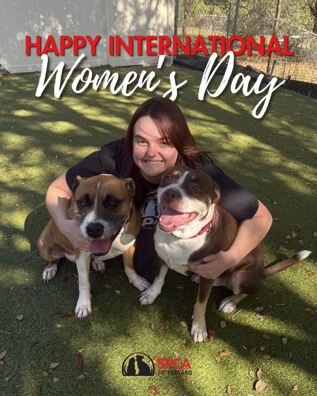 Today on International Women&rsquo;s Day, we celebrate the incredible women in animal welfare who dedicate their lives to rescuing, protecting, and advocating for animals in need. From our staff and volunteers to our fosters and supporters, these wom