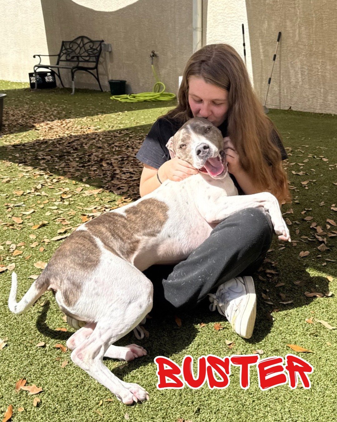 Happy National Puppy Day! Do we have puppy puppies? Not exactly. Do we have dogs who absolutely did NOT get the memo that they're not puppies anymore? Absolutely. 😉

🐾 Buster is a 3-year-old shy guy who takes a little time to come out of his shell,