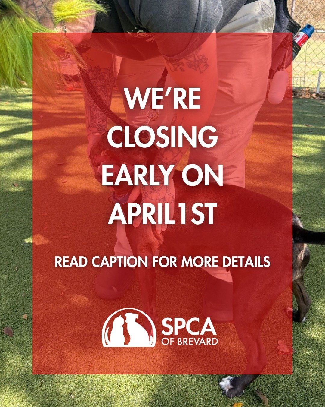 Early Closure Notice 🚀

Our adoption center will close at 4:00 PM on Wednesday, April 1st (no April Fools joke here). We are adjusting our hours to allow staff additional time to travel safely amid Artemis 2 launch day traffic in the area.

We appre