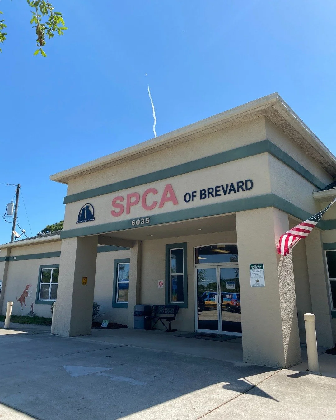 APRIL FOOLS! 😂 

Okay, okay, we owe you the truth. Our animals will NOT be joining NASA's Artemis III mission. No space suits have been ordered. No one has been to Kennedy Space Center. NASA did not acquire us, we're still the SPCA of Brevard. 

Whi