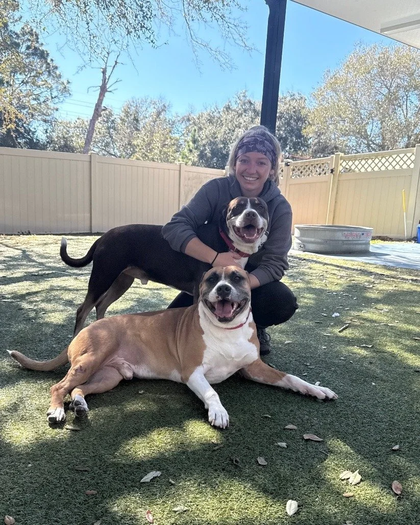 It's National Peanut Butter and Jelly Day and just like a good PB&amp;J, some things are simply better together! 

Meet Timon (tan male) &amp; Pumba (brown male), our 8-year-old bonded bros who have been with us since the end of December and are SO r