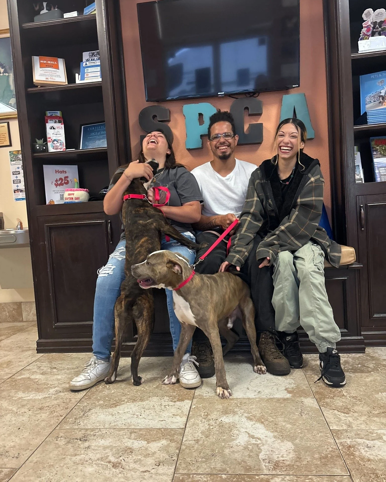 What an incredible month! We are thrilled to share that 123 pets found homes in March. 

March brought some especially heartwarming moments. After patiently waiting, our beloved Charm (our longest resident dog) was adopted. We also celebrated Chance 