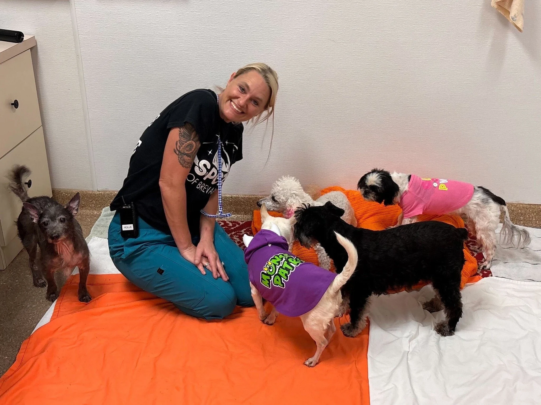 🐾 SMALL DOG ALERT (Yes, You Read That Right!) 🐾

We'll be honest, we don't get to do this very often. Small dogs around here get adopted faster than treats get eaten at snack time, so featuring them feels a little like spotting a unicorn.

We actua