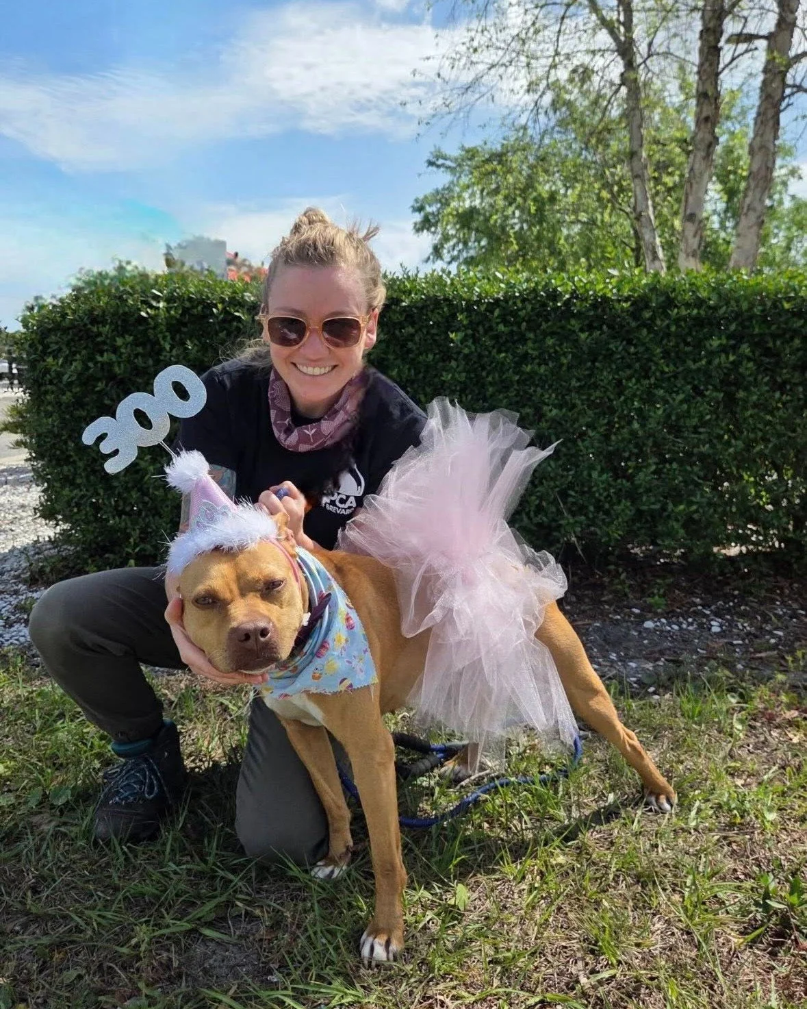 Meet Basmati 💛

This sweet 2-year-old girl holds a very special place at our shelter. She is the 300th dog pulled from a federal facility by our incredible partner Jen Deane after being confiscated from an alleged dog fighting case. She came from on