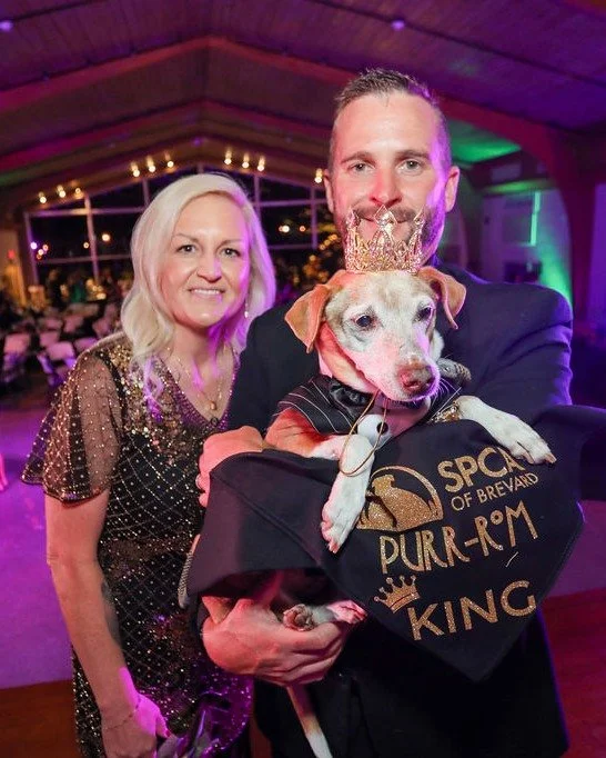 We are still beaming from our Great Catsby Purr-rom this past weekend! 

First and foremost, help us give a massive round of applause to our 2025 Purr-rom King and Queen, Toffee and Allie Mae! Not only did they win the crown, but they also were our #