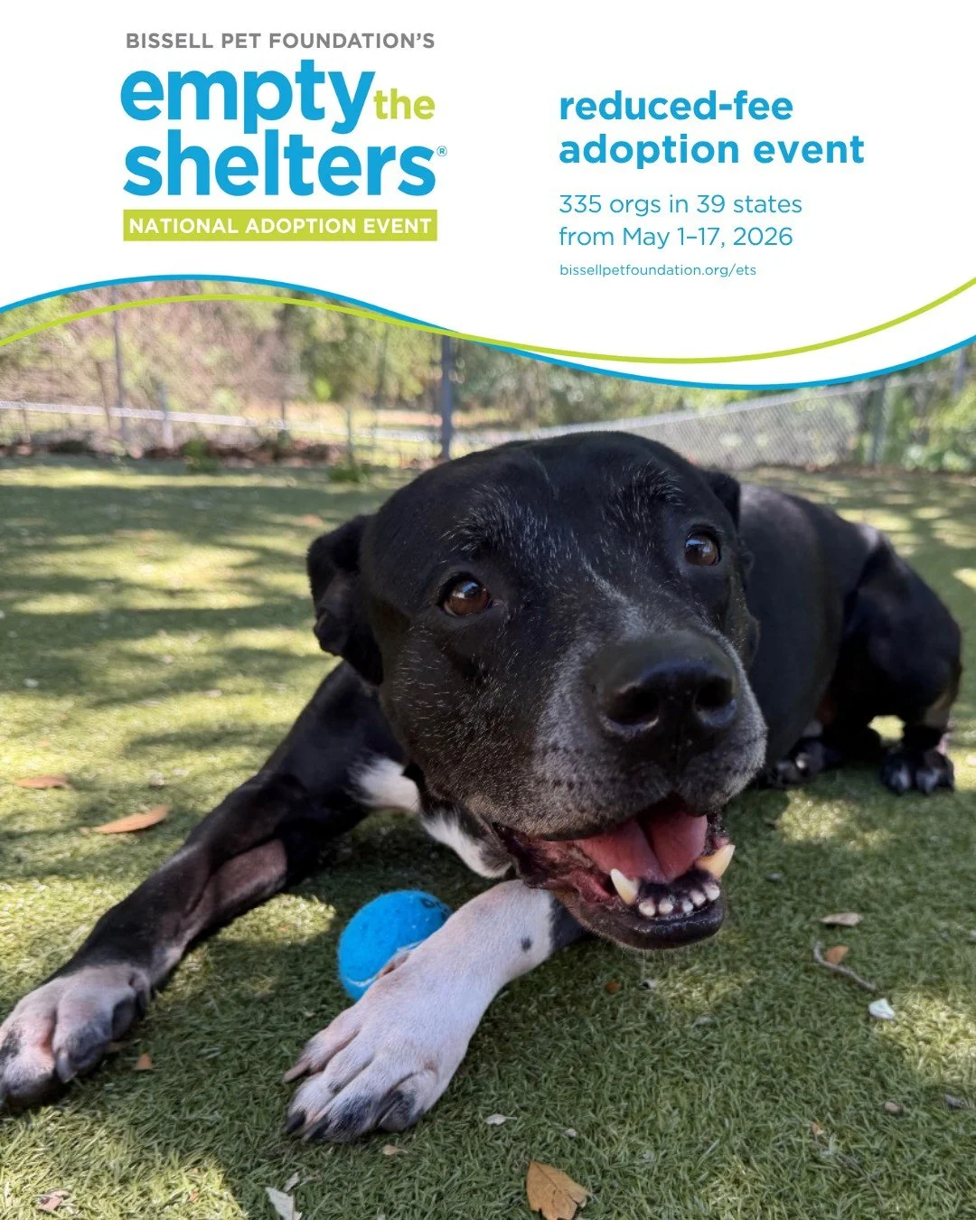 We are teaming up with@bissellpets and @cathy_bissell for their Spring National Empty the Shelters event from May 1st-17th! This will be a reduced adoption fee event for our adult pets thanks to BISSELL Pet Foundation and Cathy Bissell. 

🐶 All adul