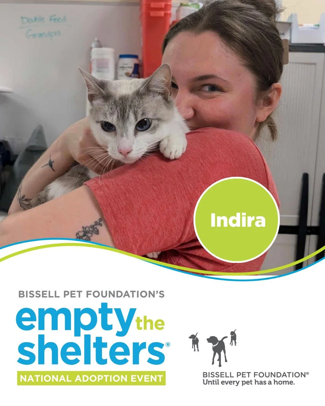 📣 It's the last weekend of Empty the Shelter! 📣

Our adoption center is open and full of dogs and cats who are ready to join a loving family. Plus, all adult pets have reduced adoption fees.

We hope to see you today!

🐶 All adult dogs (8+ months)