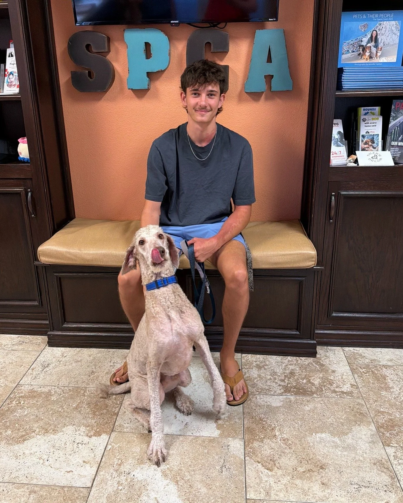 When Hank arrived as a stray, we snapped his photo and posted it in hopes of finding his owner. Thanks to the power of social media, someone recognized him. 

Hank's family had lost him over TWO years ago. In the time he was missing, life had moved t