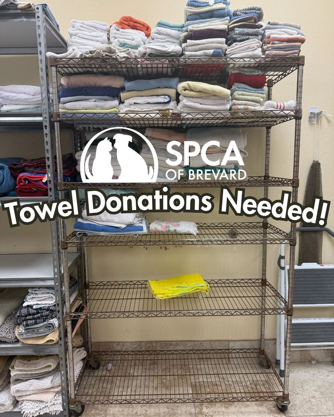 Wish List Wednesday ✨We are running low on towels!

If you have any old towels, sheets or blankets taking us space in your home, please consider donating them to our Adoption Shelter and we will put them to good use! We go through a LOT of towels!!!!