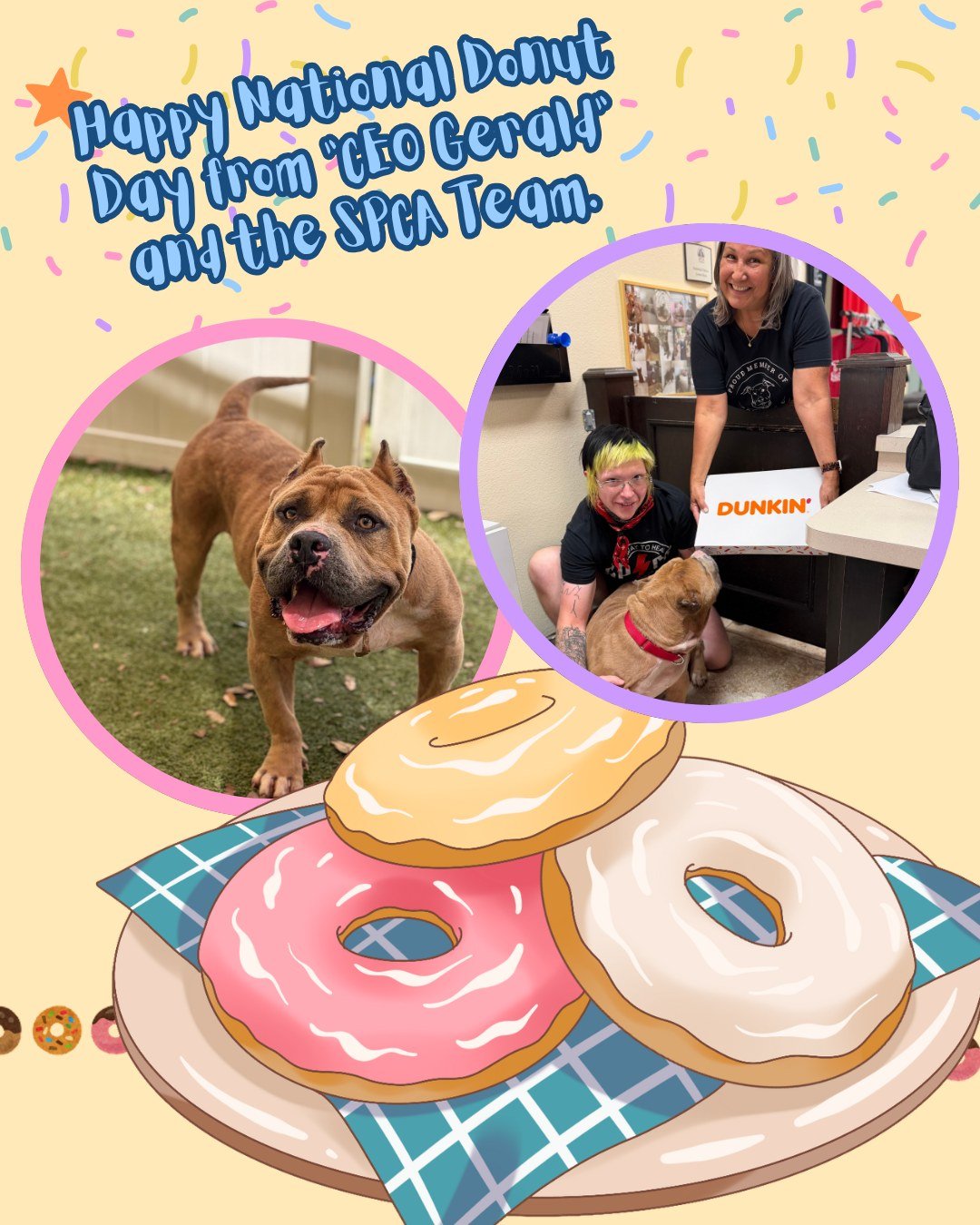 🍩 Happy National Donut Day! 🍩

&ldquo;CEO Gerald,&rdquo; our handsome 4-year-old tan heartthrob, is spreading sweetness today! This lovable pup made his rounds delivering donuts to his favorite human friends at the SPCA.

Even sweeter? &ldquo;CEO G