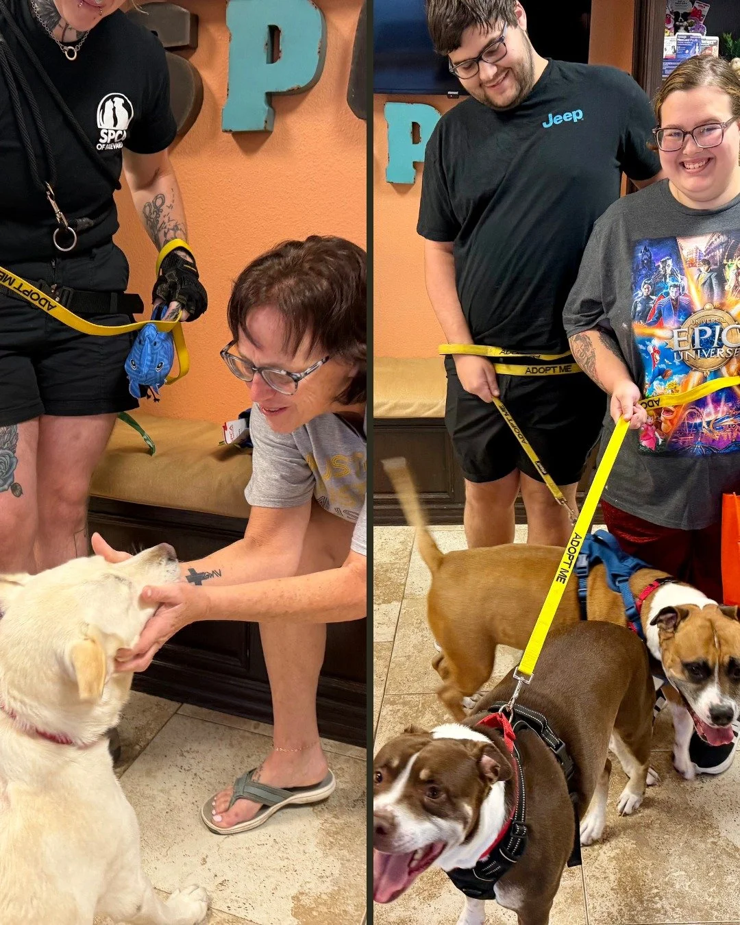 🐾We are extra thankful this 'Thankful Thursday' for our Borrowed Buddies!🐾
This Thursday three of our pups, Trigger, Timon and Pumba were picked up for an afternoon of fun-filled outings with awesome members of the community. 

What can Borrowed Bu
