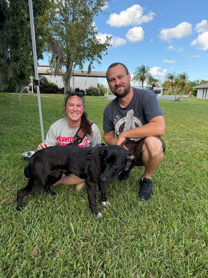 A smiling woman and a man crouching on the grass with a black dog in front of them. The woman is wearing a gray t-shirt with pink lettering, sunglasses on her head, and a brown bag. The man is wearing a gray t-shirt with a graphic and black shorts. T