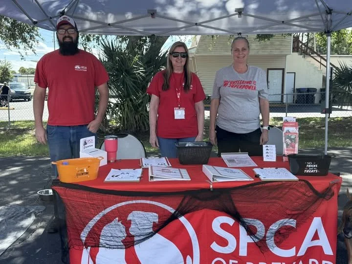 Three people standing behind a table at an outdoor SPCA event. The table has pamphlets, signs, and a black mesh container. The person on the left wears a red shirt and glasses, the woman in the middle wears a red shirt and sunglasses, and the woman o