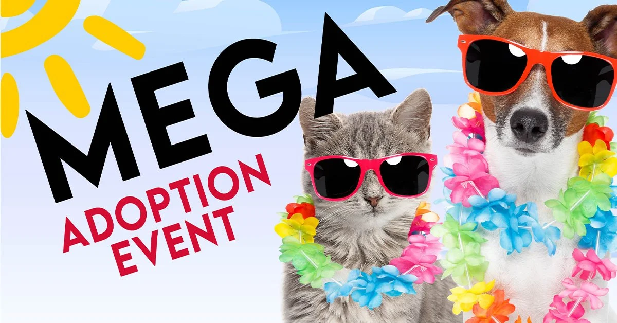 mega adoption event image