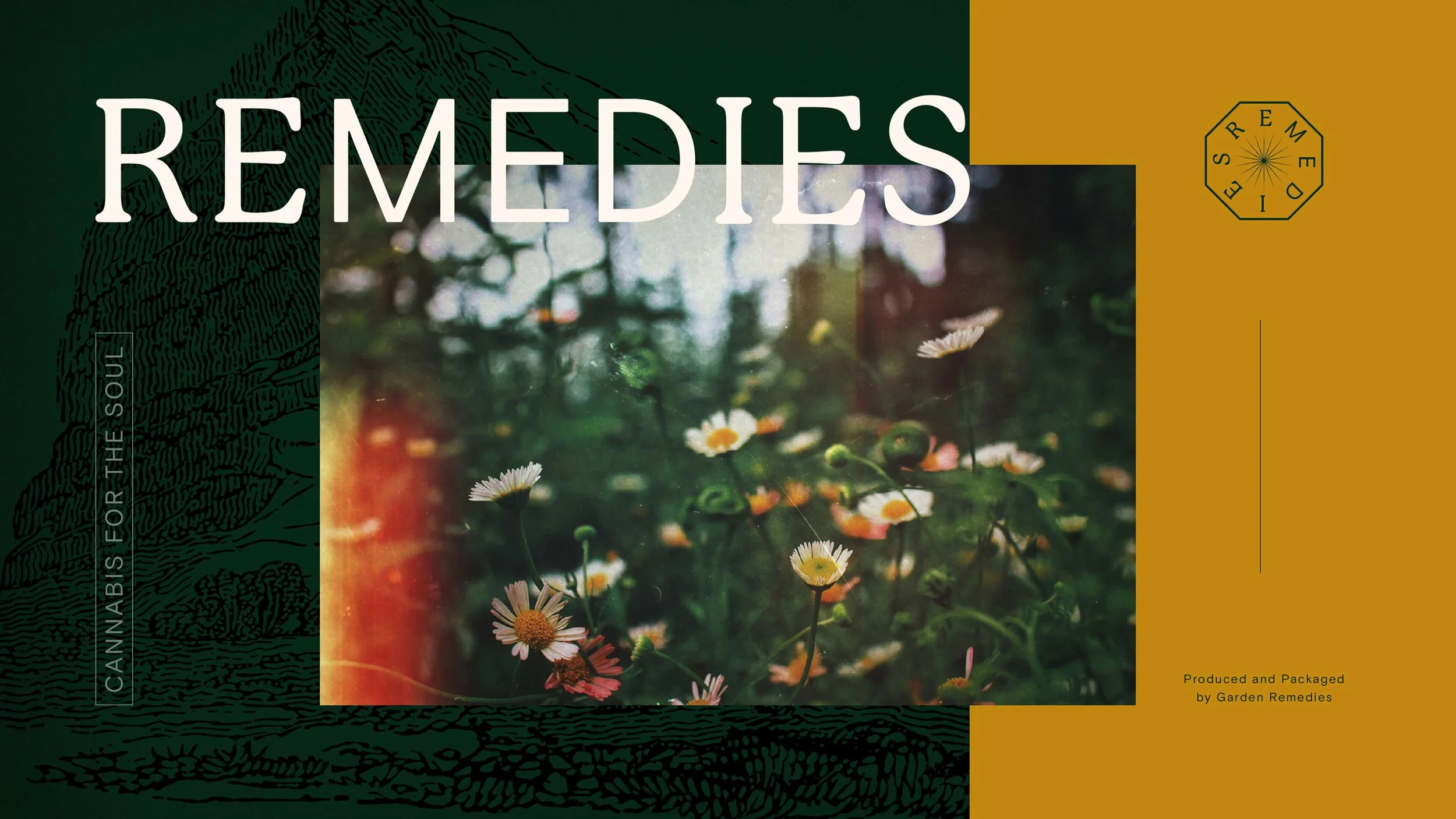 A cover photo featuring white and pink daisies with a blurred background of greenery and flowers, overlaid with text and design elements related to Remedies cannabis and nature.