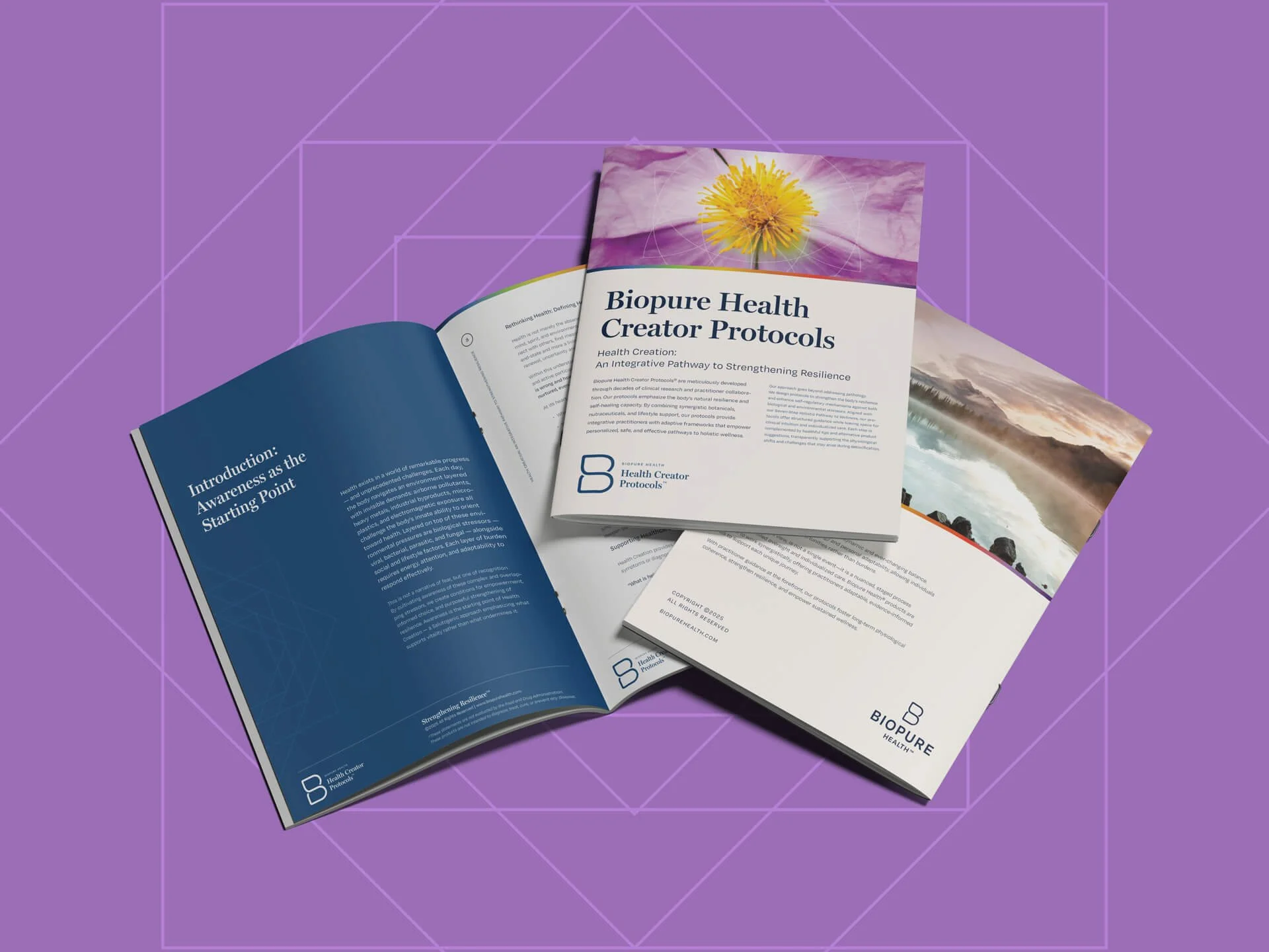 santoro_design-case_studies-biopure_health-brand_identity-4.jpg