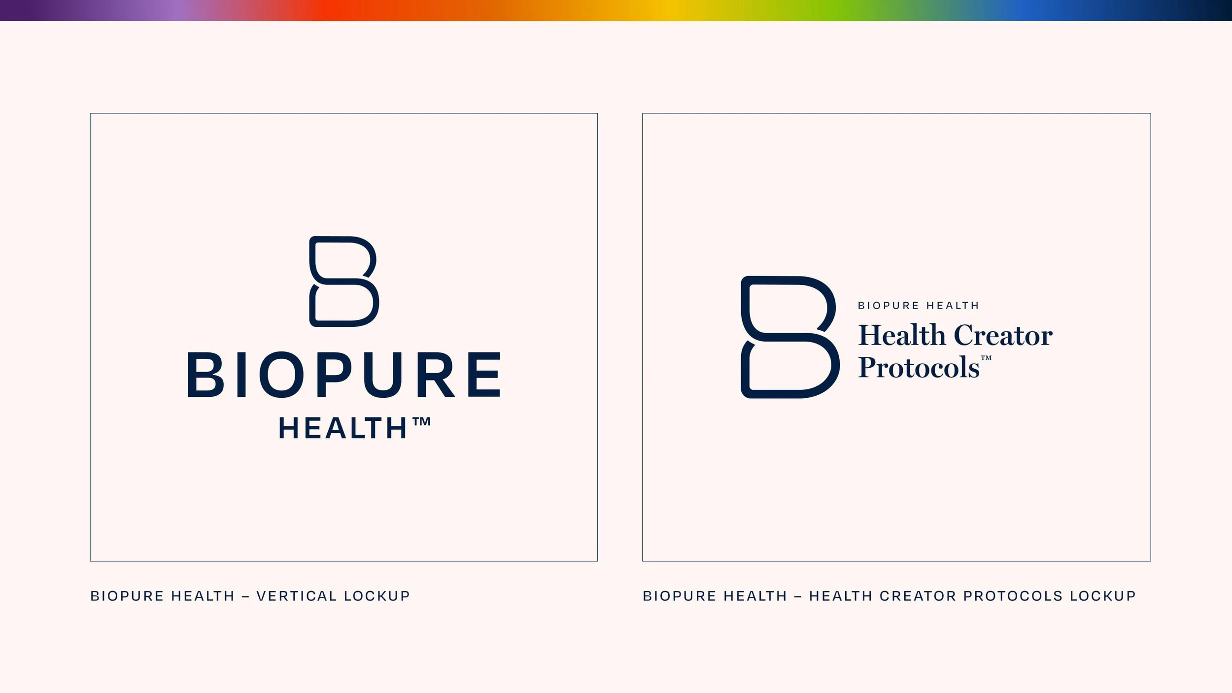santoro_design-case_studies-biopure_health-brand_identity-6.jpg