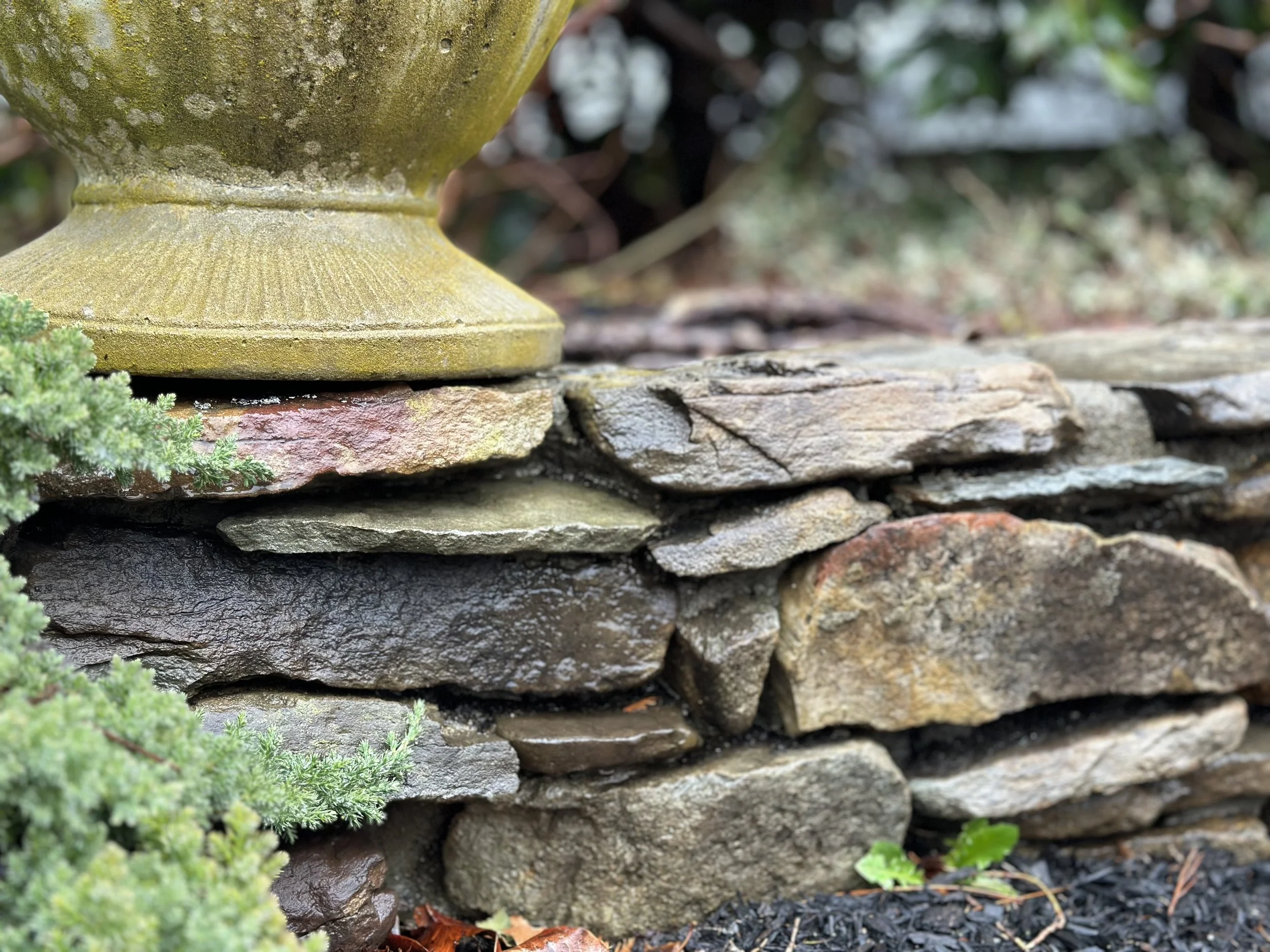 Lent 2024  | Unplugging from Busyness