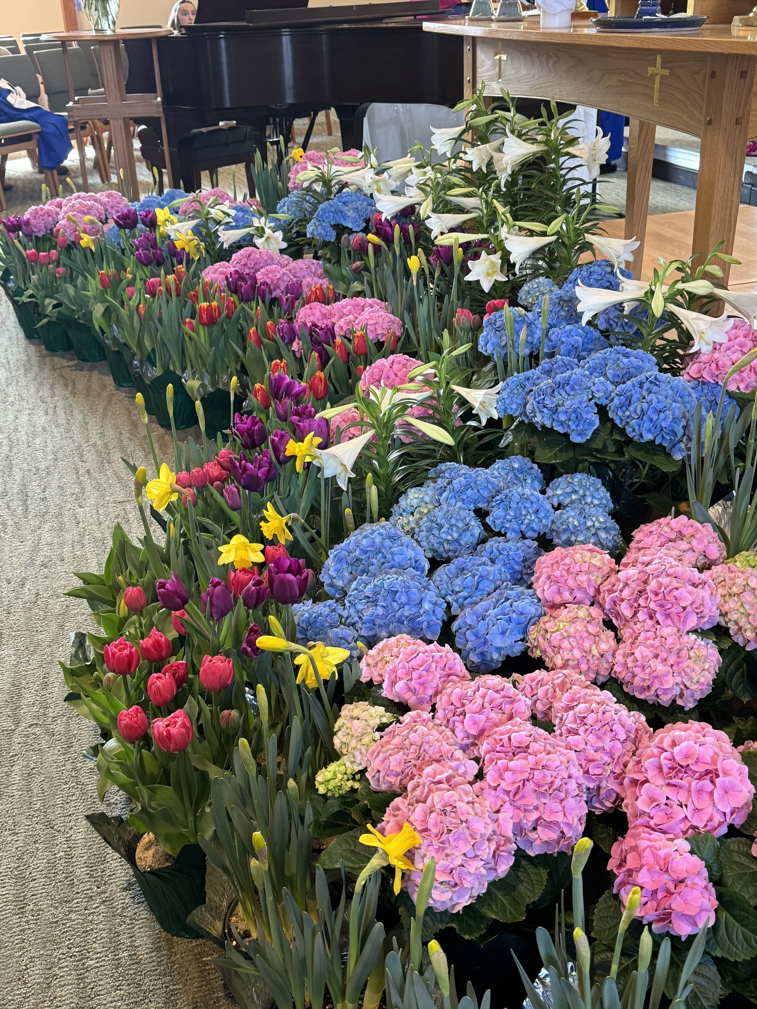 Easter flowers available to order online