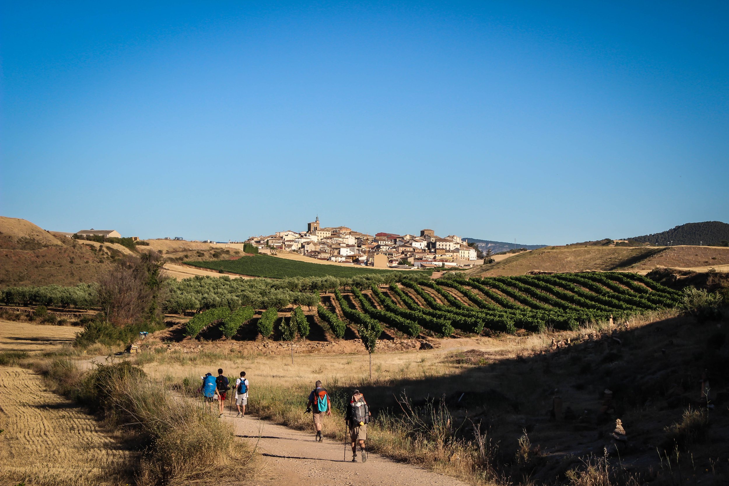 Is the El Camino de Santiago calling you?&nbsp;