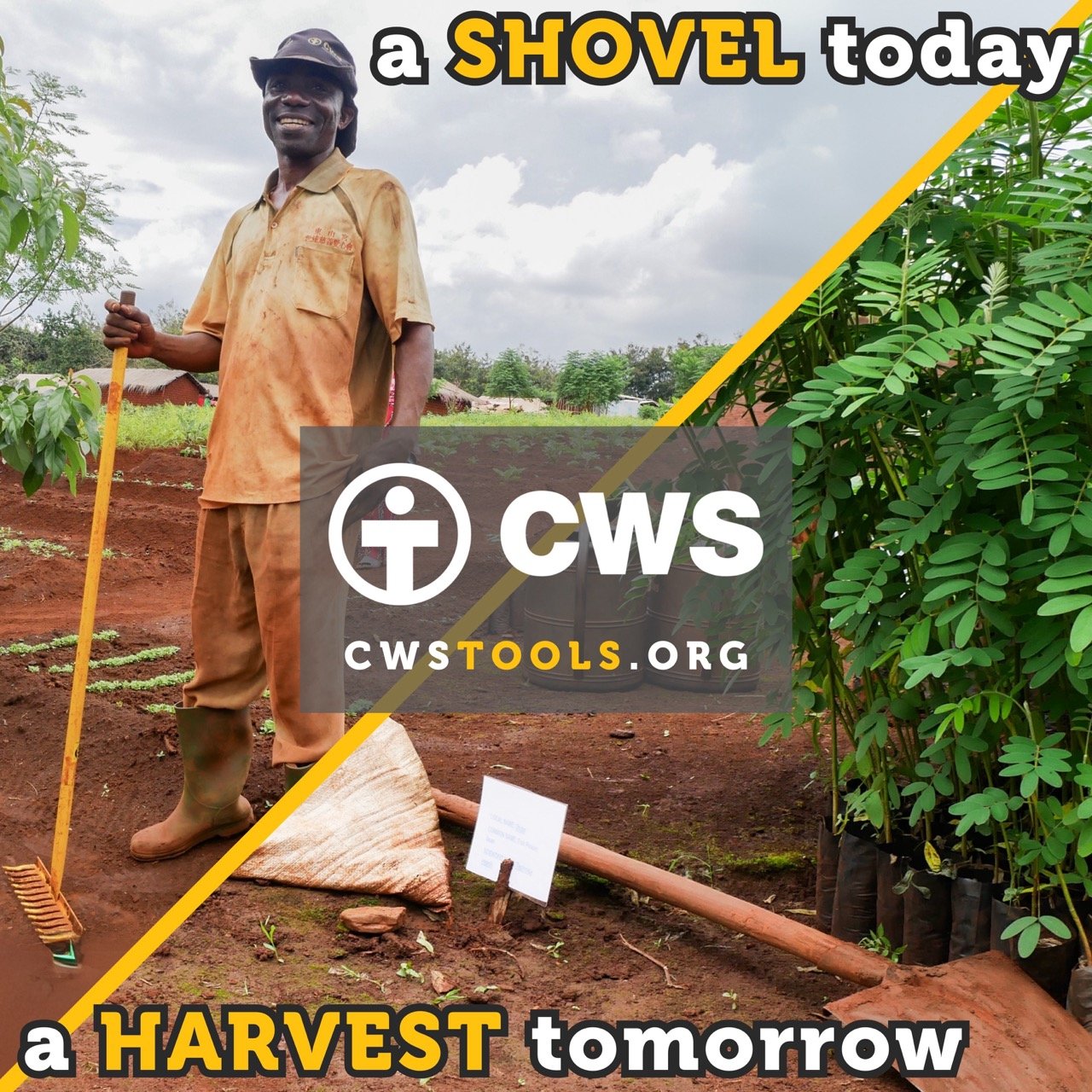 Church World Service | Tools of Hope collection