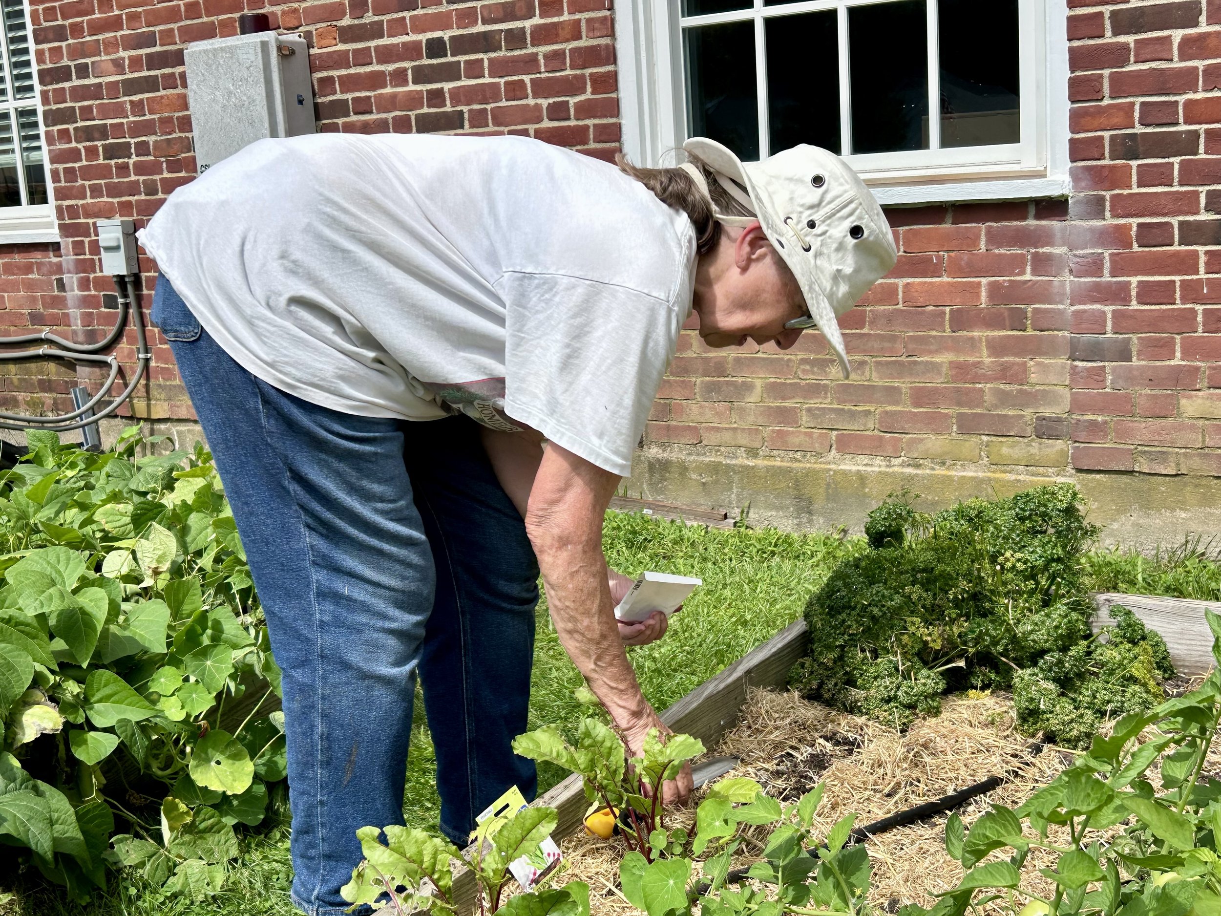 green team planting.jpeg