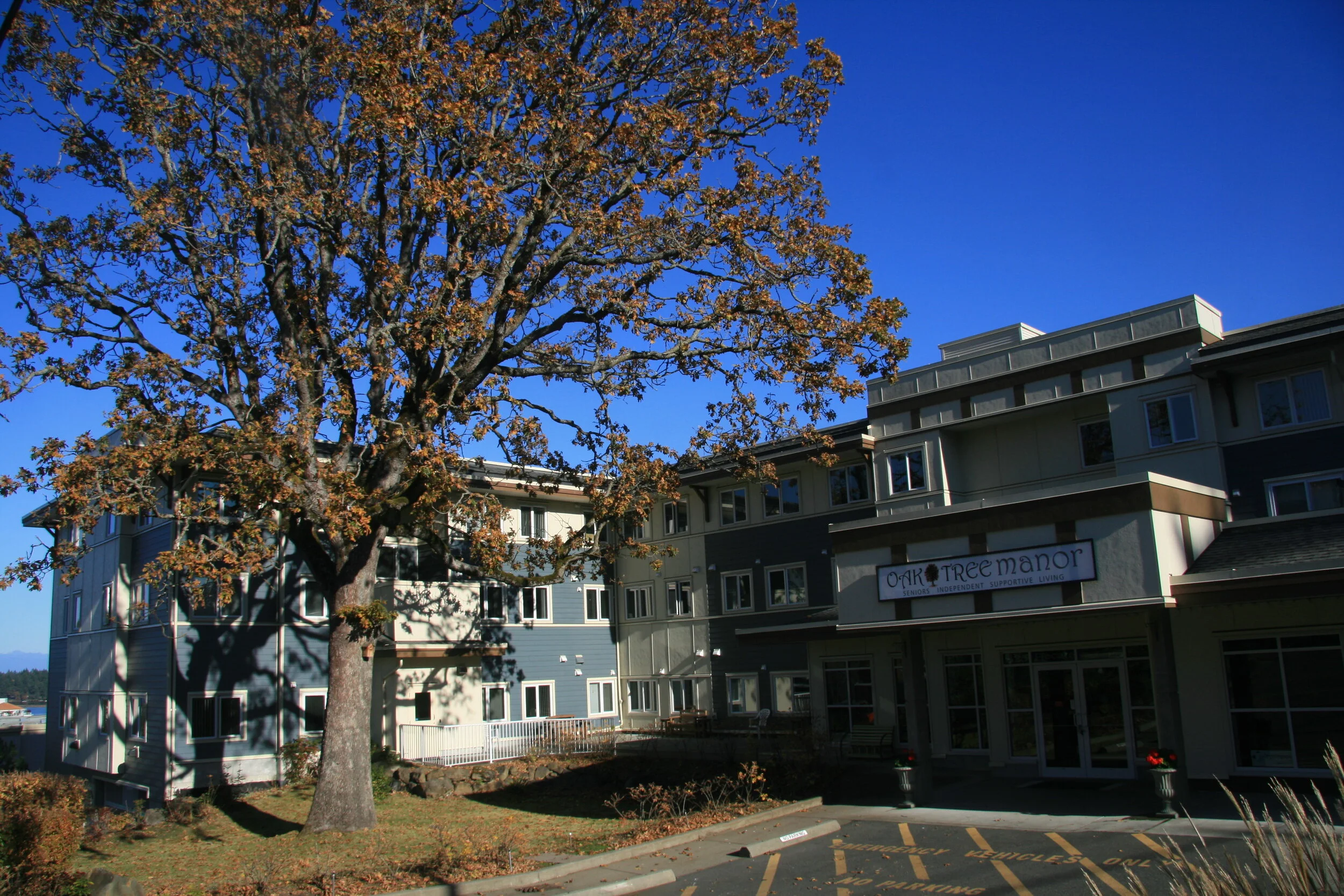 About Oak Tree Manor