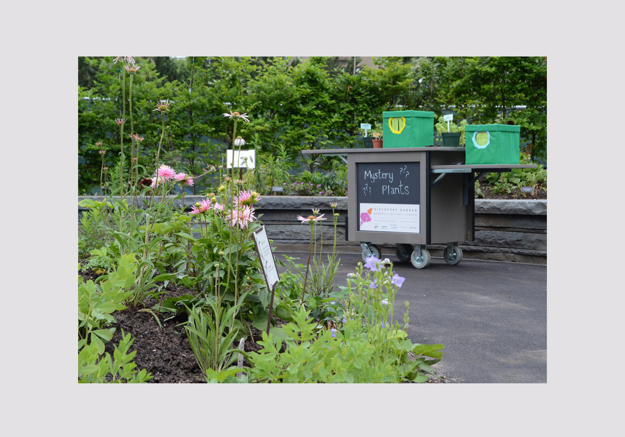Brooklyn Botanic Garden5.jpg