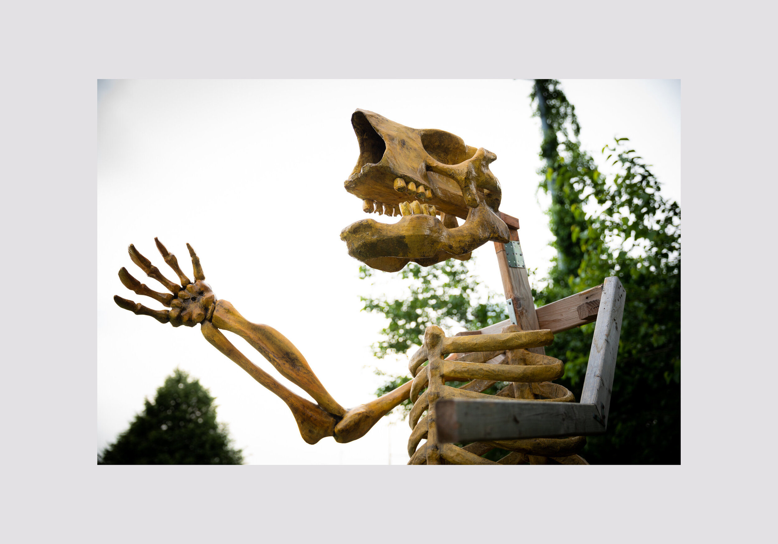 sloth3.jpg