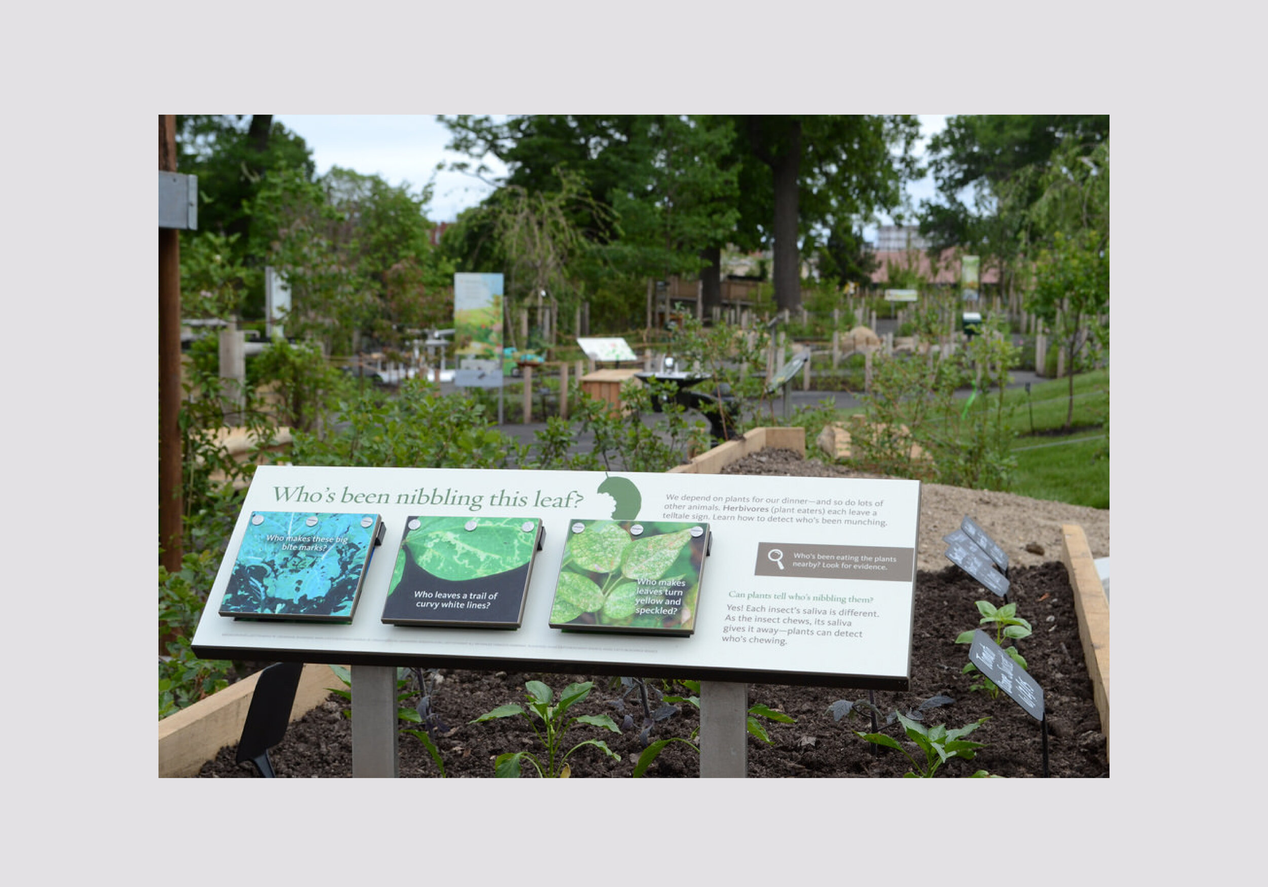 Brooklyn Botanic Garden3.jpg