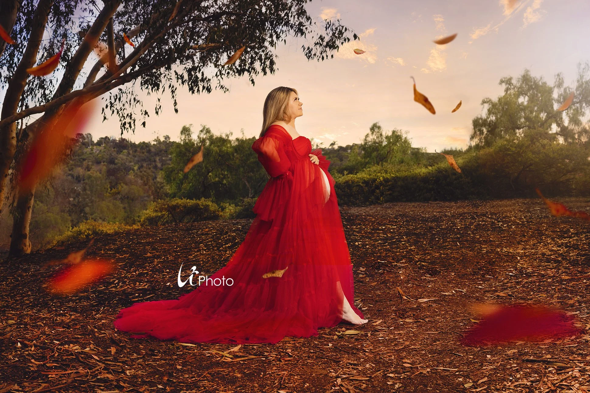 chico6V8A7952 copy.jpg