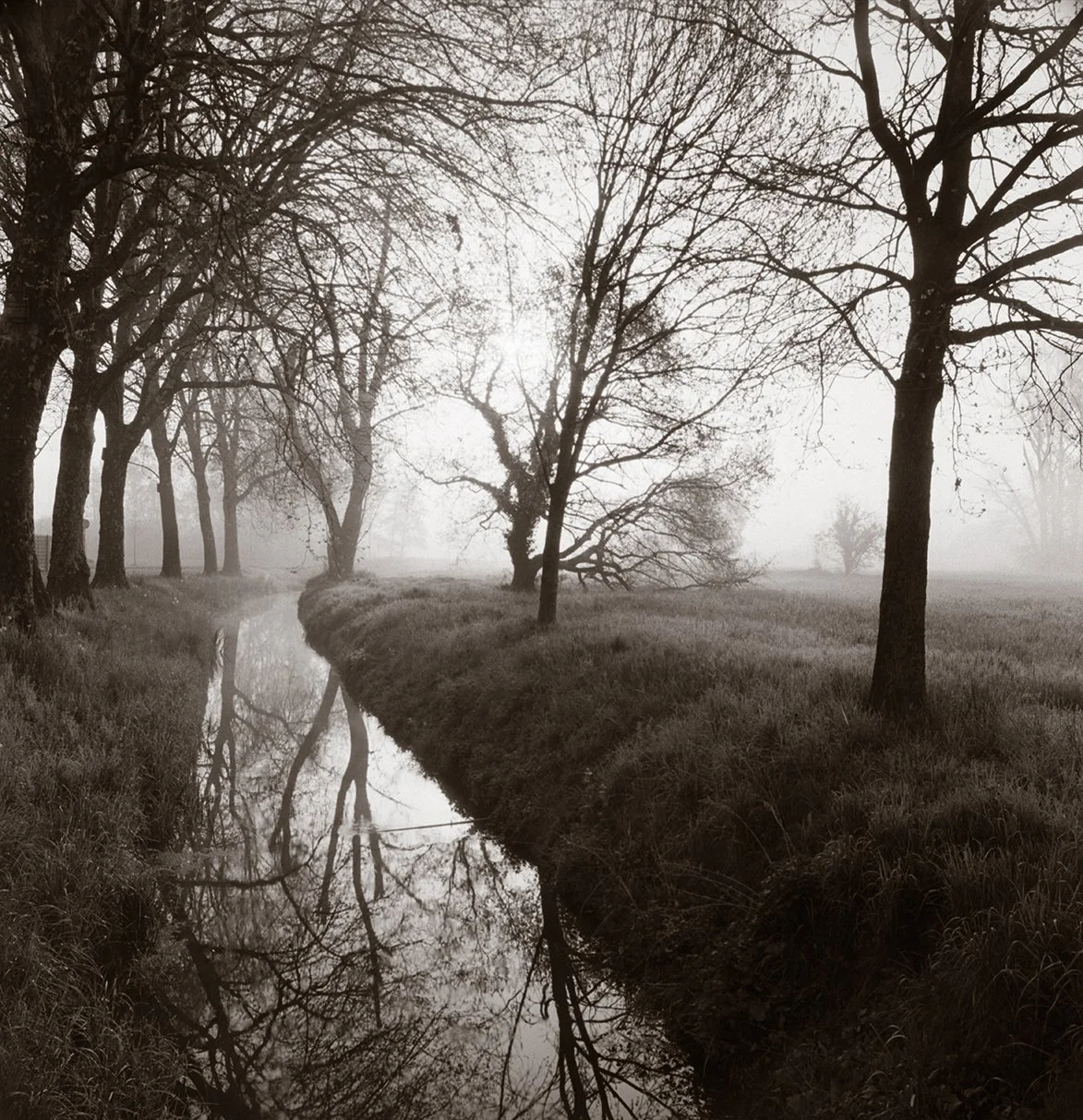 01-DE_Bach03.jpg