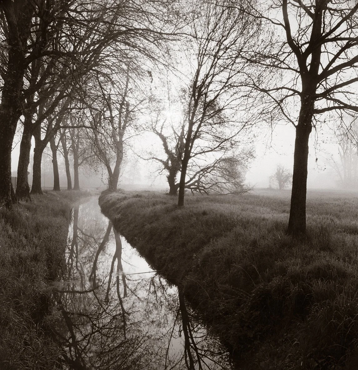 01-DE_Bach03.jpg