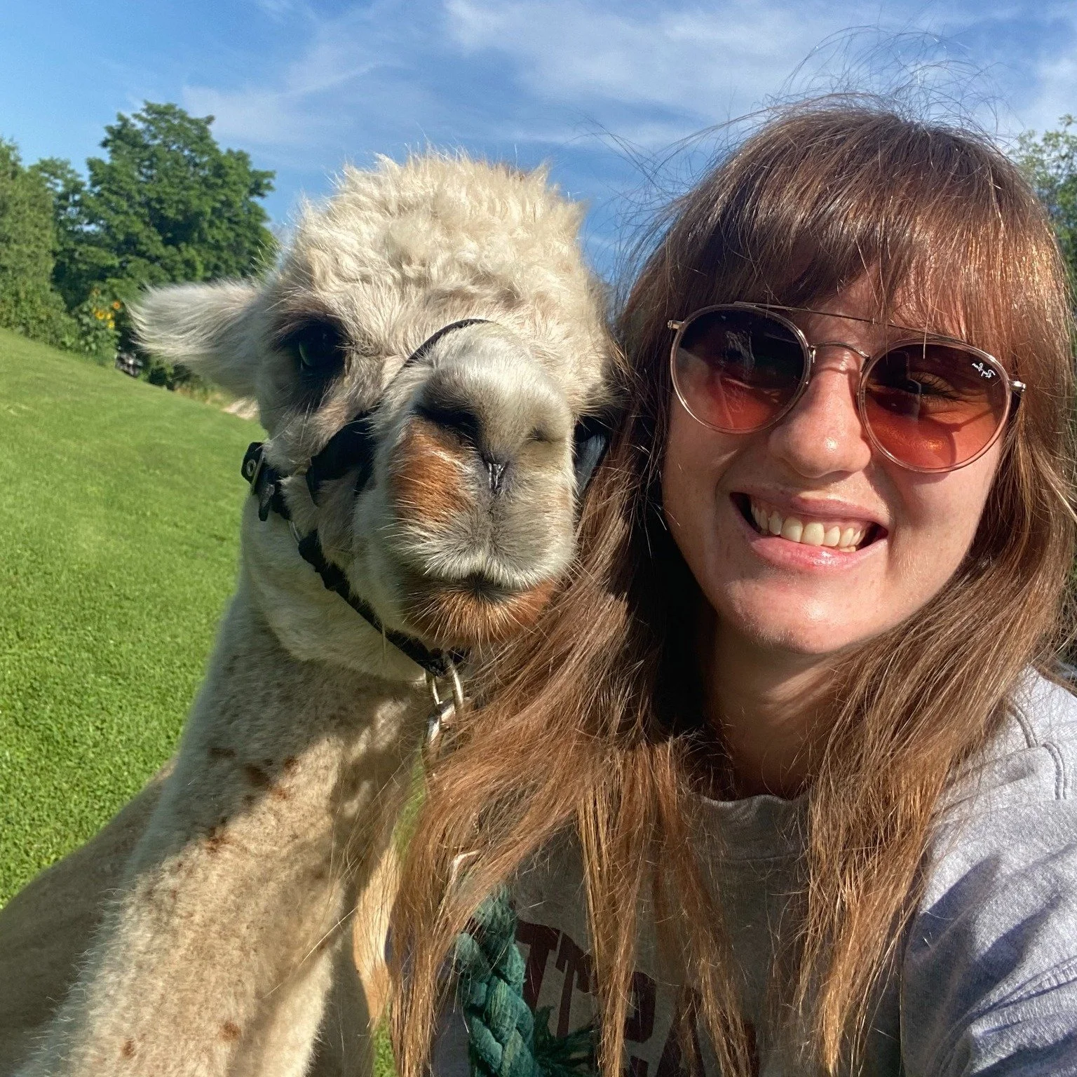 Some things I've been doing instead of focusing on making content for social media:
1. Hanging out with alpacas at an alpaca farm
2. Enjoying the last new sunsets on the dock
3. Going on a quick road trip to Ellicottville for the fall vibes
4. Babysi