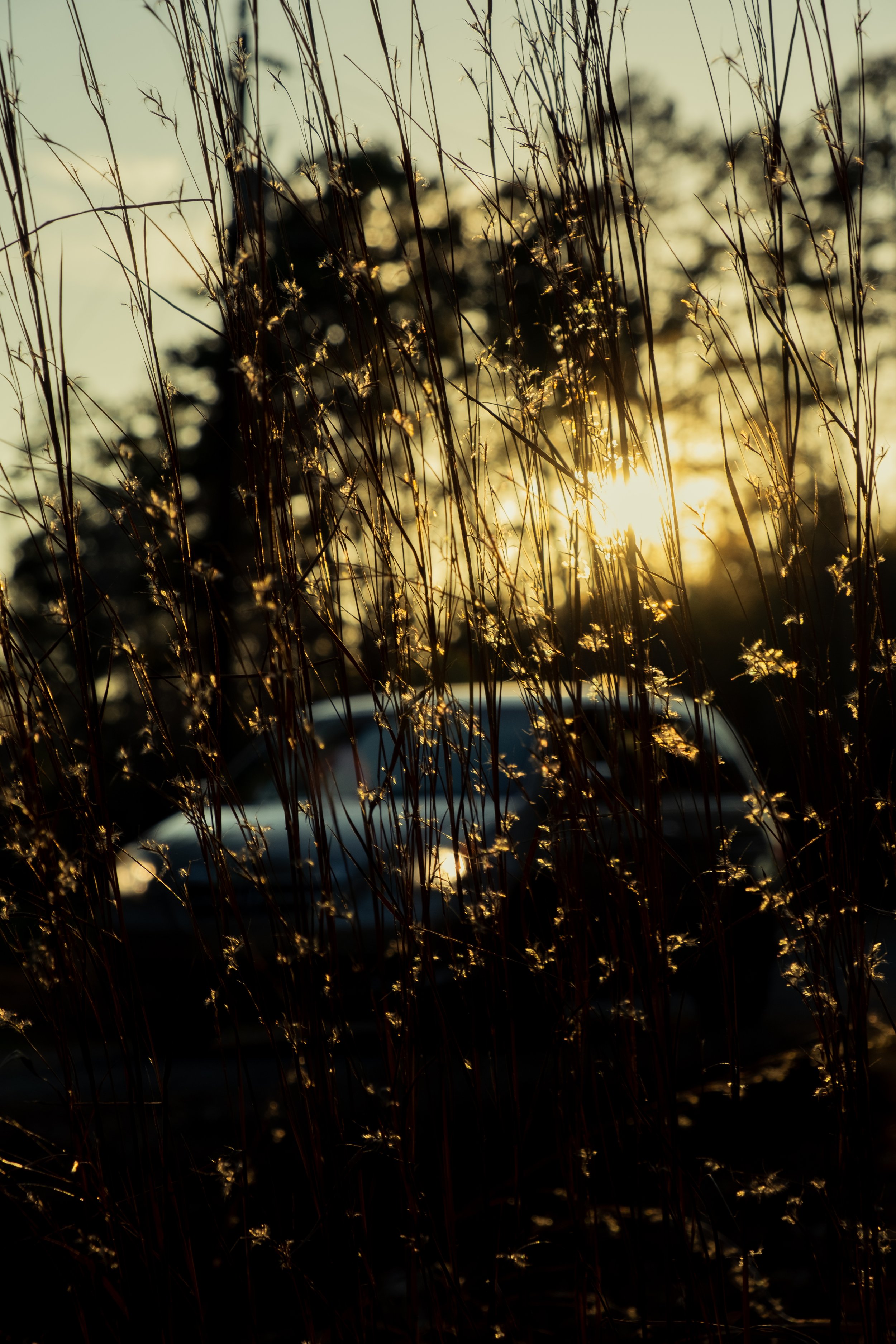 DSCF0853.jpg
