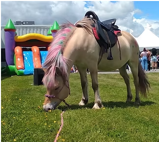 Pony Rides with NE Party Animals